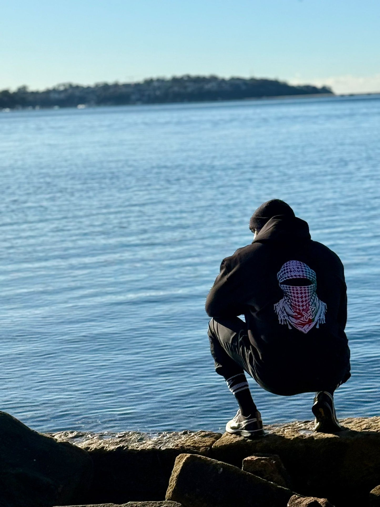 *Resistance Hoodie